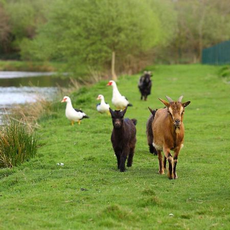 Gîtes de La Ferme de Vur Ven Gouvieux Exterior foto
